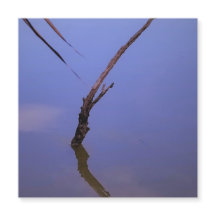 #1-Etang von Scamander in Camargue. Magnet