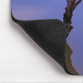 #1-Etang von Scamander in Camargue. Mousepad (Ecke)