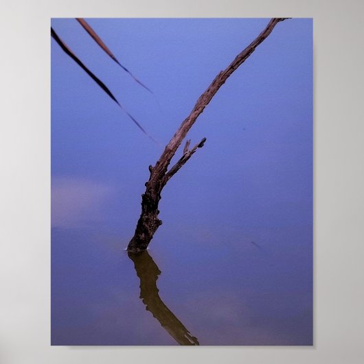 #1-Etang von Scamander in Camargue. Poster (Vorne)