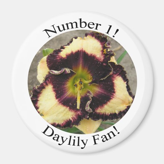#1 Fan Magnet (Vorne)