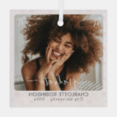 1 Foto Abschluss Rosa Bug Hintergrund Ornament Aus Glas (Rückseite)