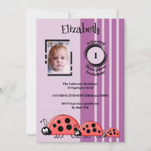 1. Geburtstag hinzufügen Bildladybugs rot lila Einladung (Vorderseite)