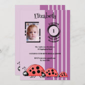 1. Geburtstag hinzufügen Bildladybugs rot lila Einladung (Vorne/Hinten)