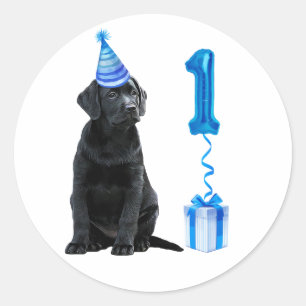 1. Geburtstag Welpenthema - Niedlicher Hund Blue P Runder Aufkleber