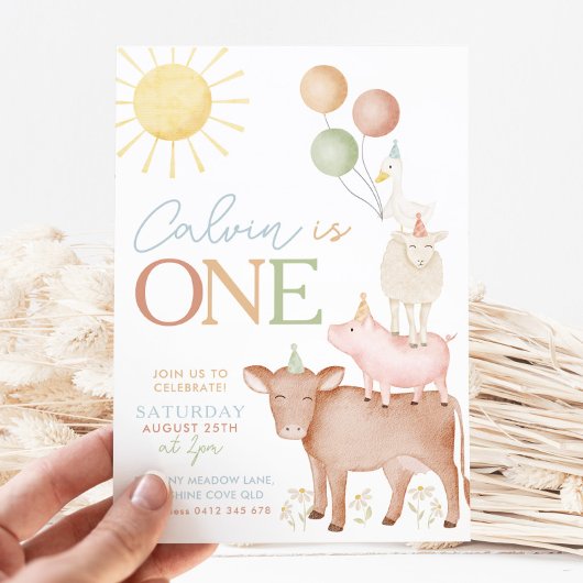 1. Geburtstagsfarm Animals Barnyard Party Boys Einladung