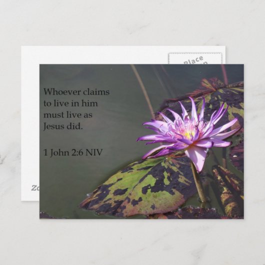 1 John 2:6 Lila Pond Lily Scripting Post Card Postkarte (Vorne/Hinten)