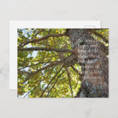 1 Korinthen 13:13 Baumzweige Postkarte (Vorne/Hinten)