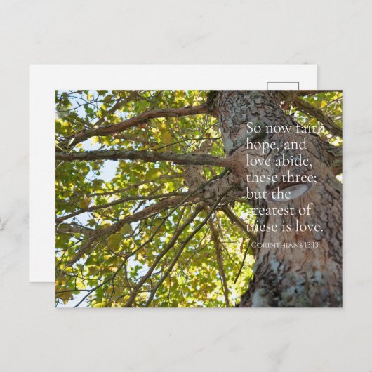1 Korinthen 13:13 Baumzweige Postkarte (Vorne/Hinten)