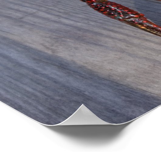 1 Krebse Poster (Ecke)