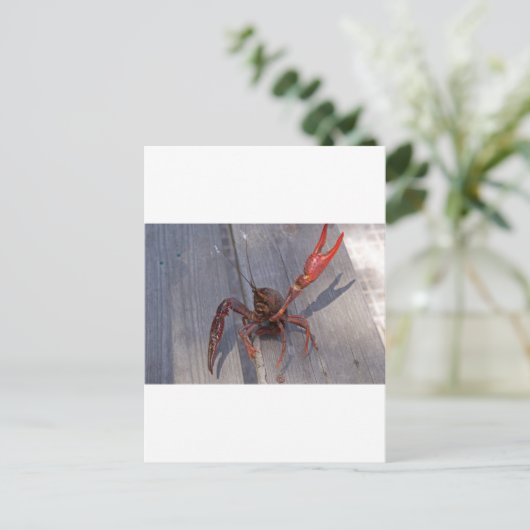 1 Krebse Postkarte (Stehend Vorderseite)