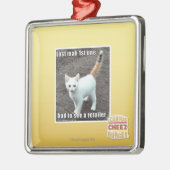 1. Mah verloren Silbernes Ornament (Links)