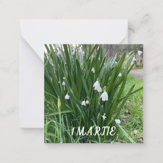 1 Martie-Flachscheine Mitteilungskarte (Vorderseite)