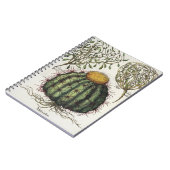 1.Melocactus; 2.Rosa Hiericontea aperta; 3.Rosa Notizblock (Linke Seite)