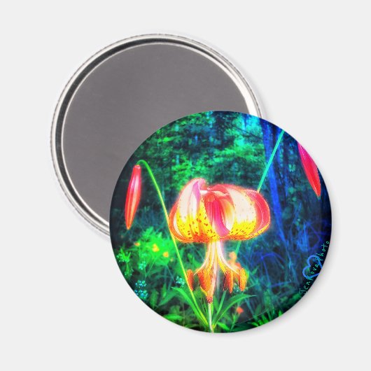 1 MICHIGAN LILLY MAGNET (Vorderseite/Rückseite)