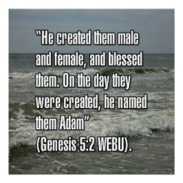 1. Mose 5:2 WEBU Poster