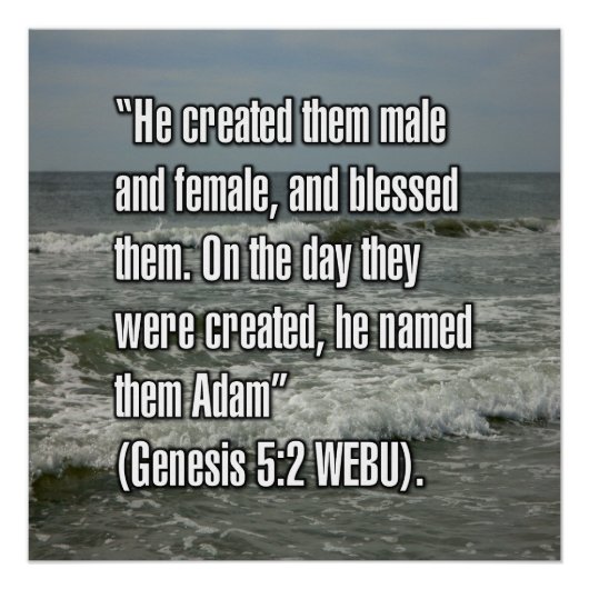 1. Mose 5:2 WEBU Poster (Vorderseite)