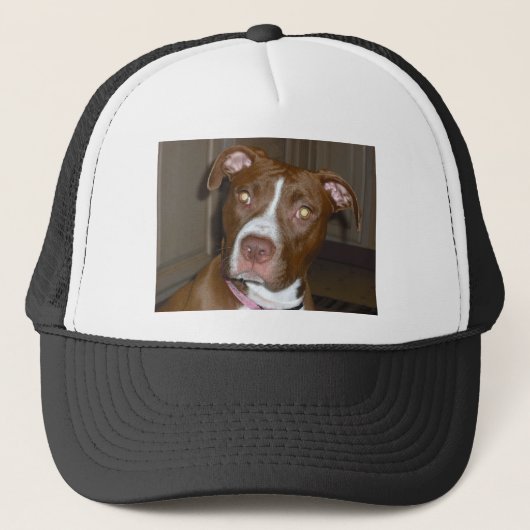 (1) perfekter Welpe 019 pic des Weinbrands Truckerkappe (Vorderseite)