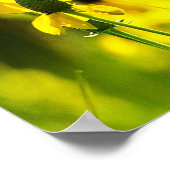 1 Peter 1:23 Inspirationsquelle Poster (Ecke)