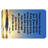 1 Peter 1:3 Magnet (Horizontal)