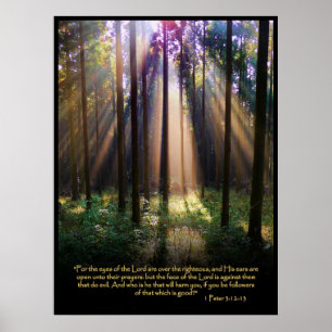 1 Peter 3:12-13 Christliches Bibelverse-Poster Poster