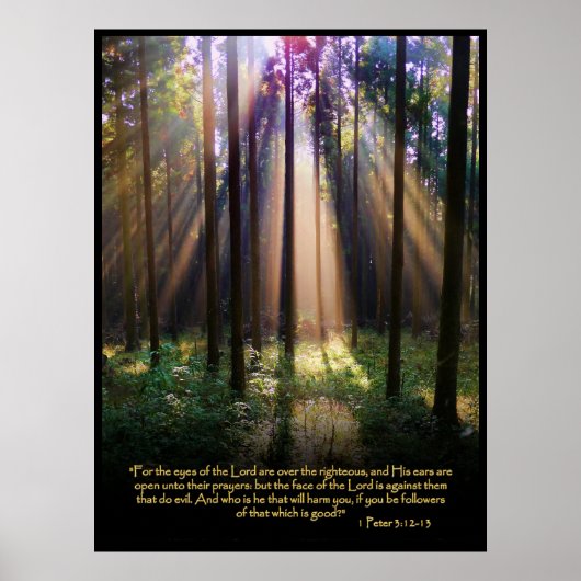 1 Peter 3:12-13 Christliches Bibelverse-Poster Poster (Vorne)