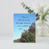 1 Petrus 4:8 Vor allem Liebe einander tief Postkarte (Stehend Vorderseite)
