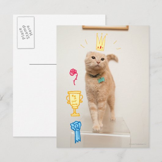 #1 POSTKARTE (Vorne/Hinten)