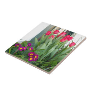1 Primel-Tulpen Fliese