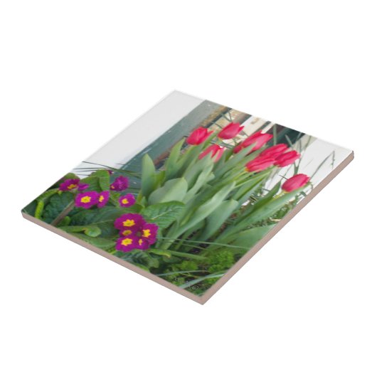 1 Primel-Tulpen Fliese (Seite)