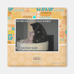 1 Regel, wenn du ein Bett teilen willst Magnet