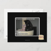 1 Regel, wenn du ein Bett teilen willst Postkarte (Vorne/Hinten)