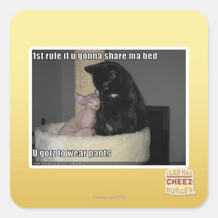 1 Regel, wenn du ein Bett teilen willst Quadratischer Aufkleber