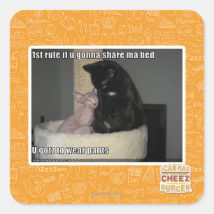 1 Regel, wenn du ein Bett teilen willst Quadratischer Aufkleber