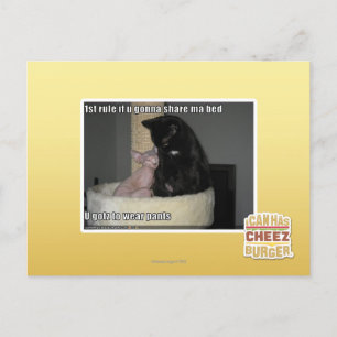 1. Regel wenn u, das geht, MA-Bett zu teilen Postkarte