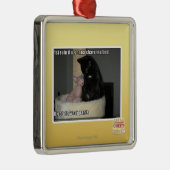 1. Regel wenn u, das geht, MA-Bett zu teilen Silbernes Ornament (Rechts)