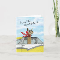 1 Rentenkarte - Driving Divas Llama
