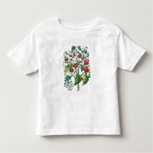 1.Solanum Pomiferum; 2.Amaracus gemein, von Kleinkind T-shirt