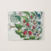 1.Solanum Pomiferum; 2.Amaracus gemein, von Puzzle (Horizontal)