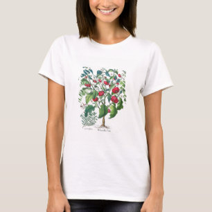 1.Solanum Pomiferum; 2.Amaracus vulgaris, aus dem T-Shirt