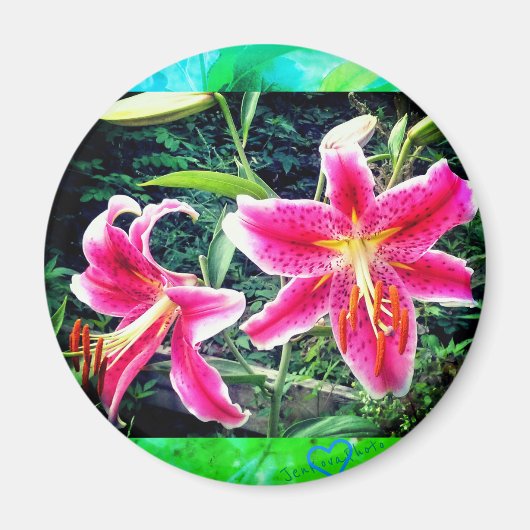 1 STARGAZER MAGNET (Vorne)