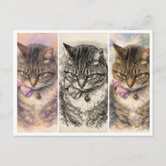 1 Stimmung + 3 Vibes = Vollkommene Katzenschönheit Postkarte