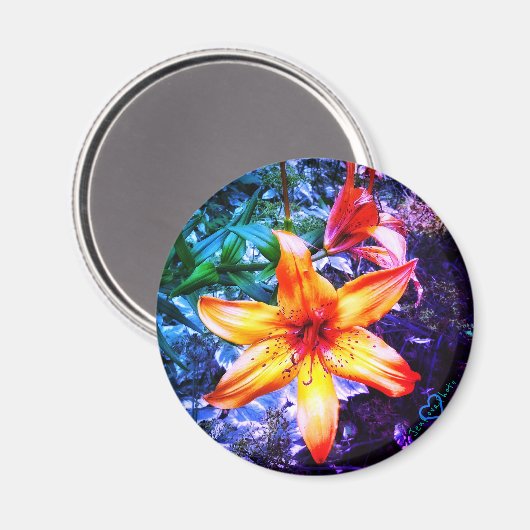 1 TAGESZEITRAUM MAGNET (Vorderseite/Rückseite)