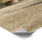 1 Timothy 3:16, 17 RauchBush Poster (Ecke)