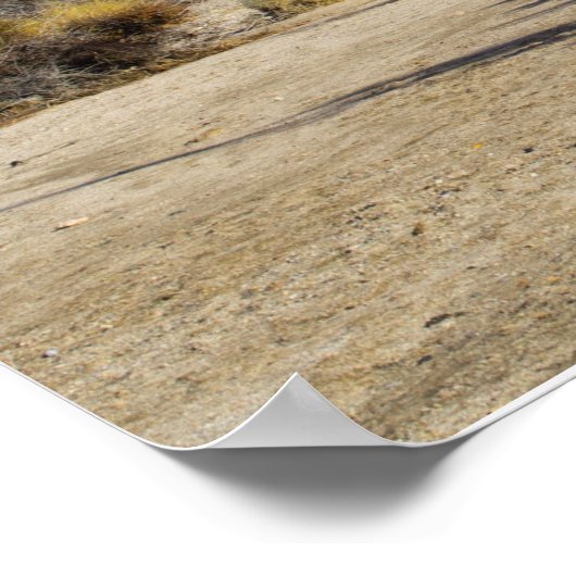 1 Timothy 3:16, 17 RauchBush Poster (Ecke)