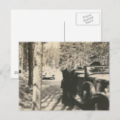 1 von 2 Bären im Auto Postkarte (Vorne/Hinten)