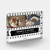 1. Weihnachten zusammen 2 Hunde Paw 2 Fotoblock (Links)