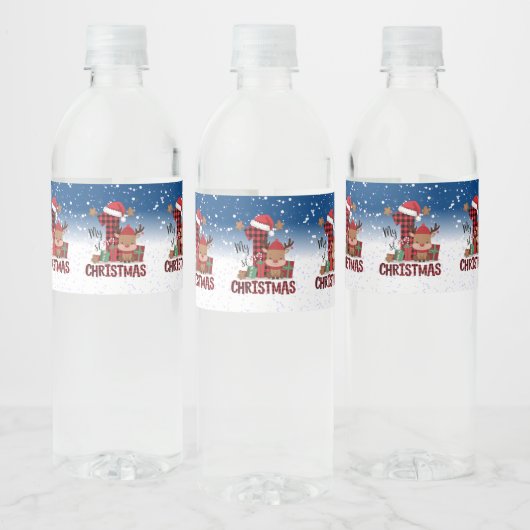 1. Weihnachts-Weihnachtsmannmütze Weißschneejunge Wasserflaschenetikett (Flaschen)