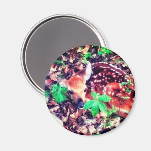 1FAWN MAGNET (Vorderseite/Rückseite)