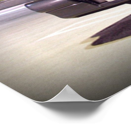 1g DSM-Poster Poster (Ecke)