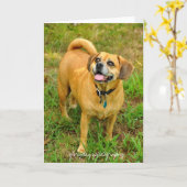 1HCD_3930, glorydaysphotography Karte (Gelbe Blume)